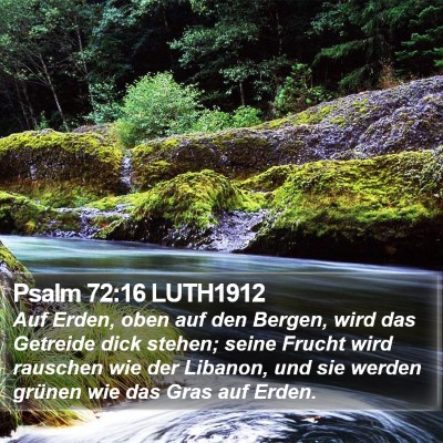 Psalm 72:16 LUTH1912 Bible Verse Image
