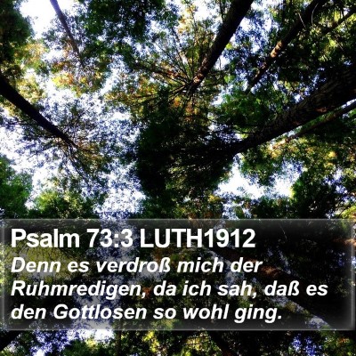 Psalm 73:3 LUTH1912 Bible Verse Image