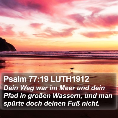 Psalm 77:19 LUTH1912 Bible Verse Image