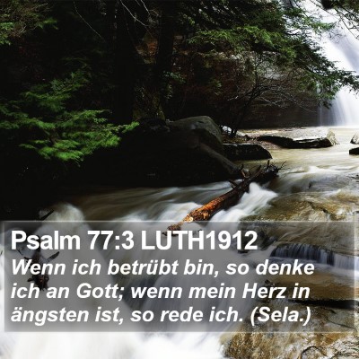Psalm 77:3 LUTH1912 Bible Verse Image