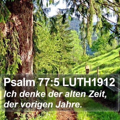 Psalm 77:5 LUTH1912 Bible Verse Image