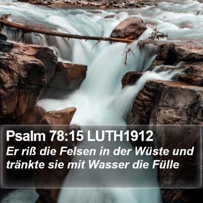 Psalm 78:15 LUTH1912 Bible Verse Image
