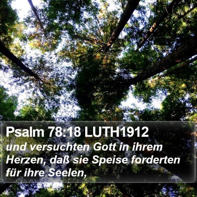 Psalm 78:18 LUTH1912 Bible Verse Image