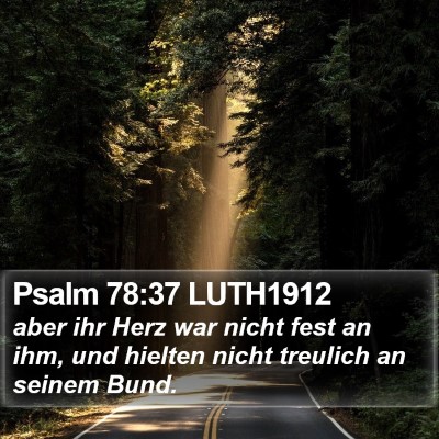Psalm 78:37 LUTH1912 Bible Verse Image