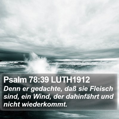 Psalm 78:39 LUTH1912 Bible Verse Image