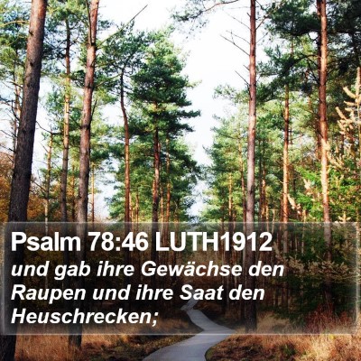 Psalm 78:46 LUTH1912 Bible Verse Image
