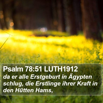 Psalm 78:51 LUTH1912 Bible Verse Image
