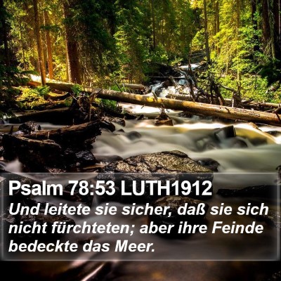Psalm 78:53 LUTH1912 Bible Verse Image