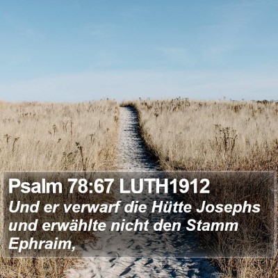 Psalm 78:67 LUTH1912 Bible Verse Image