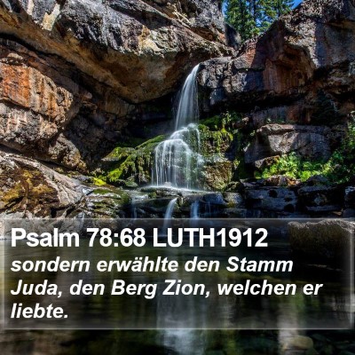 Psalm 78:68 LUTH1912 Bible Verse Image