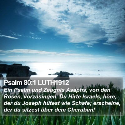 Psalm 80:1 LUTH1912 Bible Verse Image