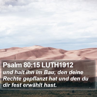 Psalm 80:15 LUTH1912 Bible Verse Image