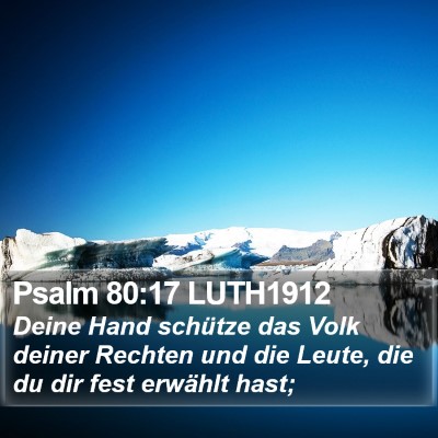 Psalm 80:17 LUTH1912 Bible Verse Image