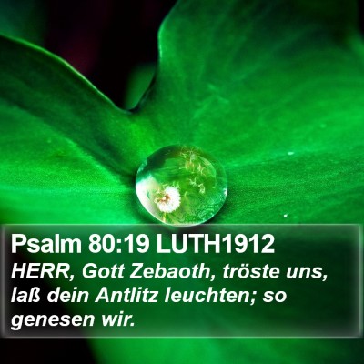 Psalm 80:19 LUTH1912 Bible Verse Image