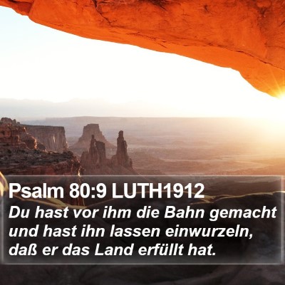 Psalm 80:9 LUTH1912 Bible Verse Image