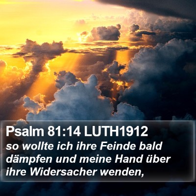 Psalm 81:14 LUTH1912 Bible Verse Image