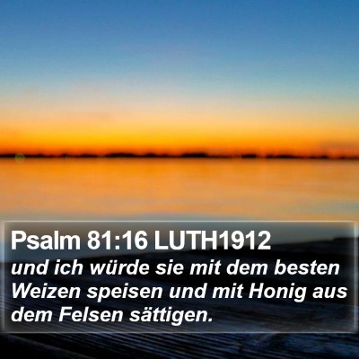 Psalm 81:16 LUTH1912 Bible Verse Image