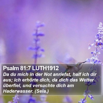 Psalm 81:7 LUTH1912 Bible Verse Image
