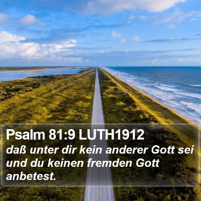 Psalm 81:9 LUTH1912 Bible Verse Image