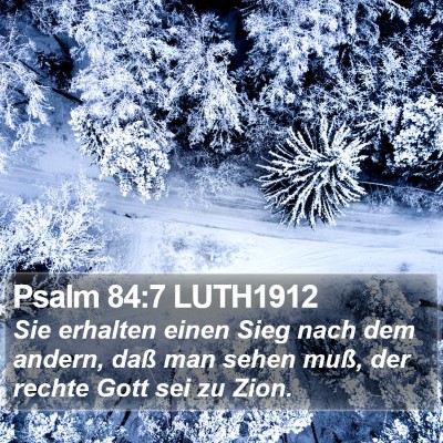Psalm 84:7 LUTH1912 Bible Verse Image