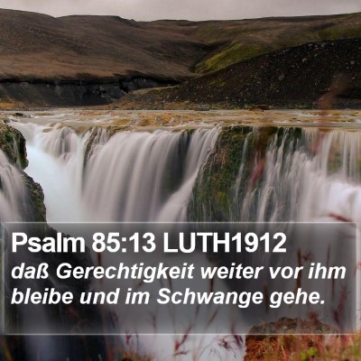 Psalm 85:13 LUTH1912 Bible Verse Image