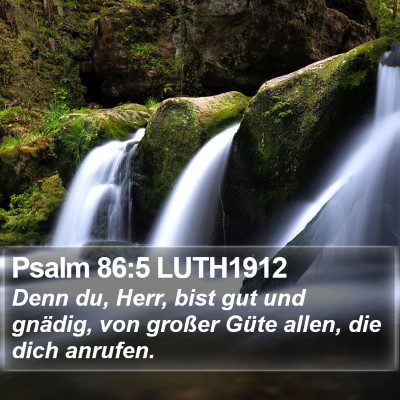 Psalm 86:5 LUTH1912 Bible Verse Image