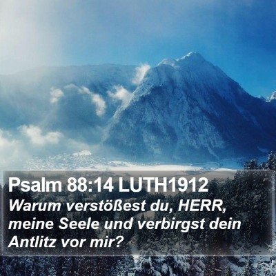 Psalm 88:14 LUTH1912 Bible Verse Image