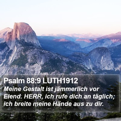 Psalm 88:9 LUTH1912 Bible Verse Image