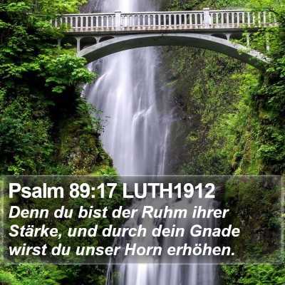 Psalm 89:17 LUTH1912 Bible Verse Image