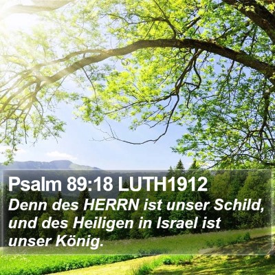 Psalm 89:18 LUTH1912 Bible Verse Image