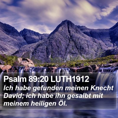 Psalm 89:20 LUTH1912 Bible Verse Image