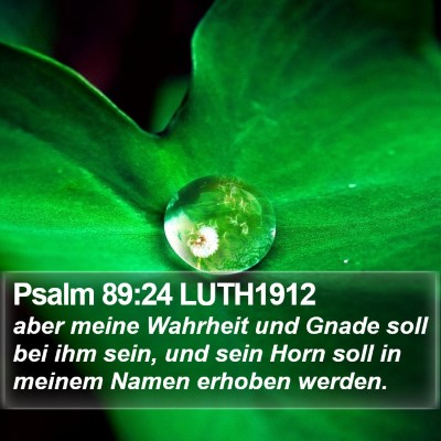Psalm 89:24 LUTH1912 Bible Verse Image