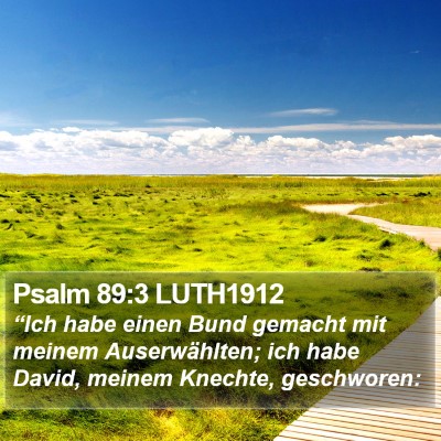 Psalm 89:3 LUTH1912 Bible Verse Image