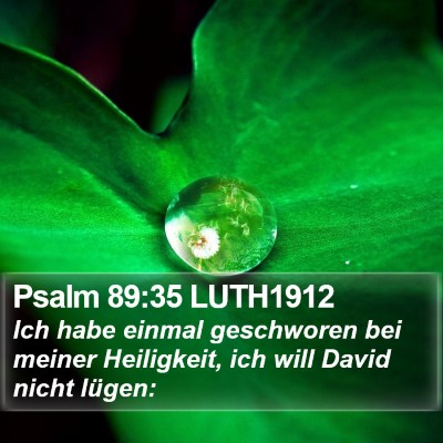 Psalm 89:35 LUTH1912 Bible Verse Image