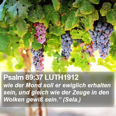 Psalm 89:37 LUTH1912 Bible Verse Image