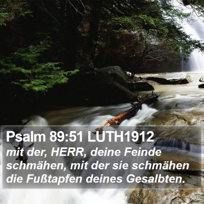 Psalm 89:51 LUTH1912 Bible Verse Image