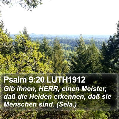 Psalm 9:20 LUTH1912 Bible Verse Image