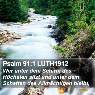 Psalm 91:1 LUTH1912 Bible Verse Image