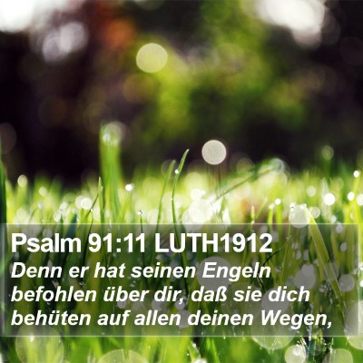 Psalm 91:11 LUTH1912 Bible Verse Image