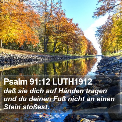 Psalm 91:12 LUTH1912 Bible Verse Image
