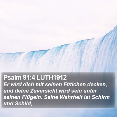 Psalm 91:4 LUTH1912 Bible Verse Image