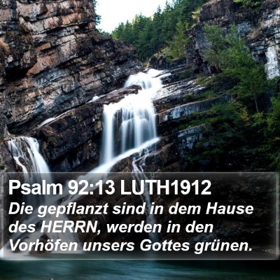 Psalm 92:13 LUTH1912 Bible Verse Image
