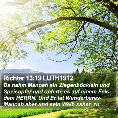 Richter 13:19 LUTH1912 Bible Verse Image