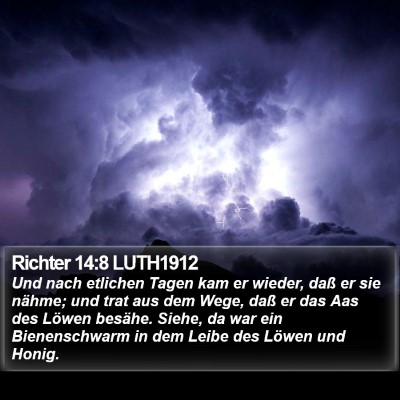 Richter 14:8 LUTH1912 Bible Verse Image