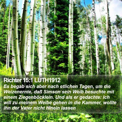 Richter 15:1 LUTH1912 Bible Verse Image