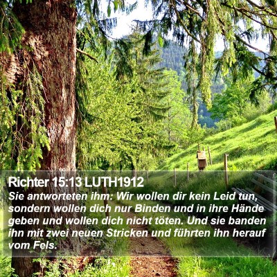 Richter 15:13 LUTH1912 Bible Verse Image