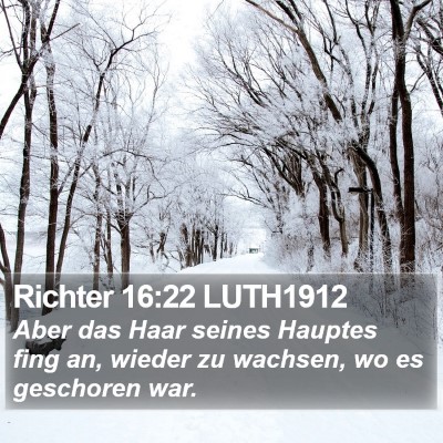 Richter 16:22 LUTH1912 Bible Verse Image