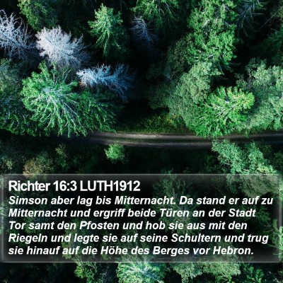 Richter 16:3 LUTH1912 Bible Verse Image