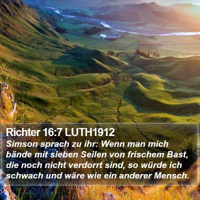 Richter 16:7 LUTH1912 Bible Verse Image