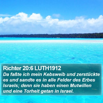 Richter 20:6 LUTH1912 Bible Verse Image